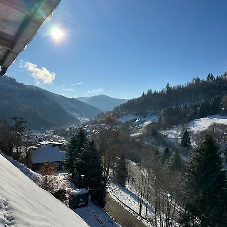 Bollenlodge - Ferienwohnung Mit Ausblick Und Top Lage Todtnau Dış mekan fotoğraf